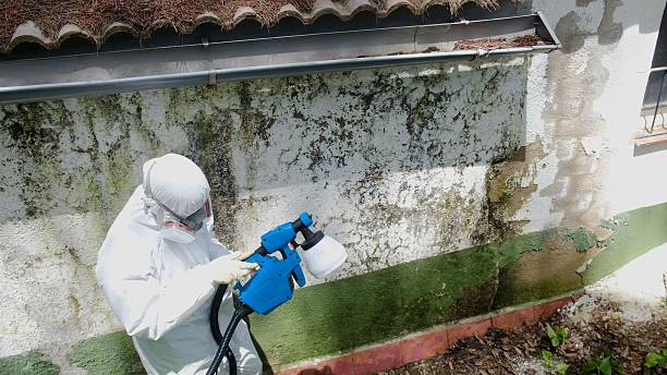 Trusted Commercial Mold Remediation service in Altamahaw, NC - Cheap Mold Removal